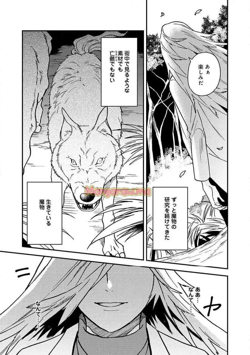 穏やか貴族の休暇のすすめ。＠COMIC 第51.2話 - Page 11